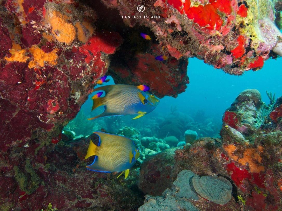 ファンタジー アイランド ビーチ リゾート アンド マリーナ オールインクルーシブ First Bight エクステリア 写真